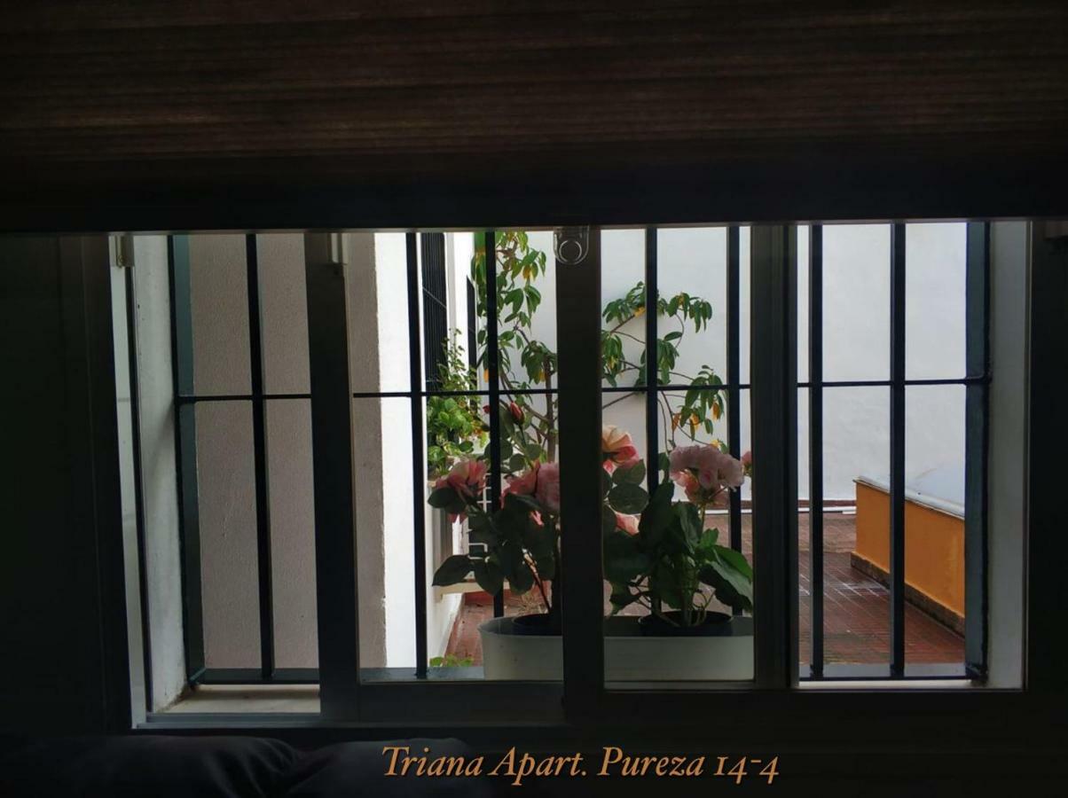 Triana Pureza 12-14