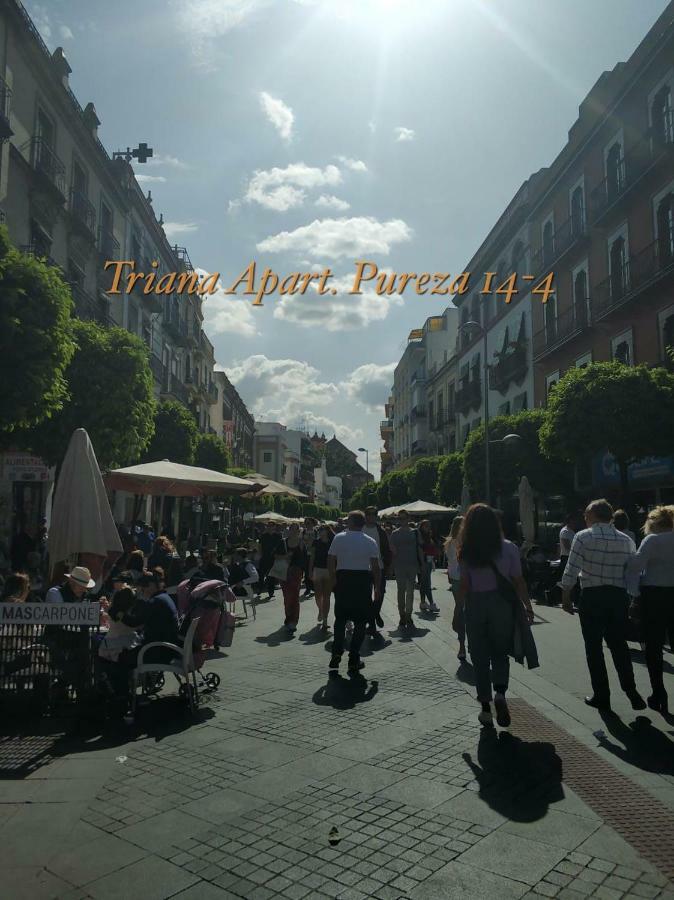 Triana Pureza 12-14 Seville